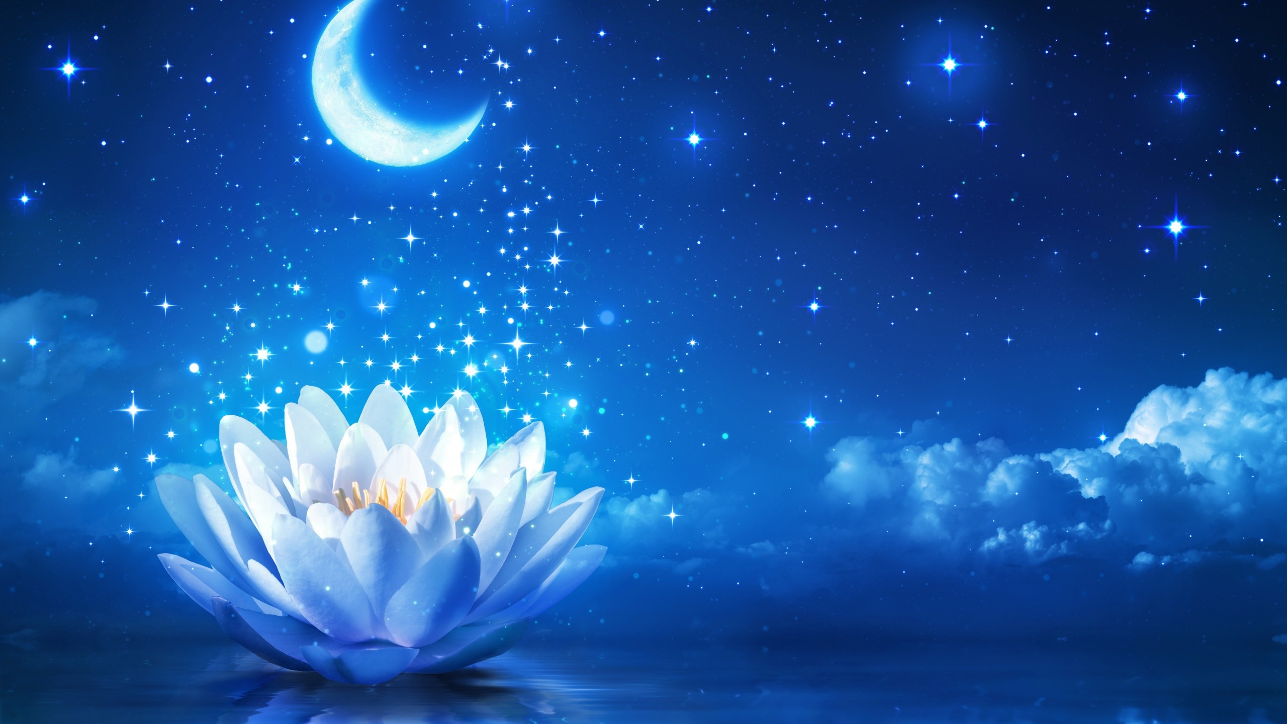 자연음악 편지 3 그림 - 1(moon water lily stars light reflection clouds artwork.jpg